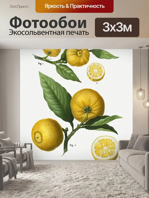 Фотообои Лимонный фрукт винтаж старый