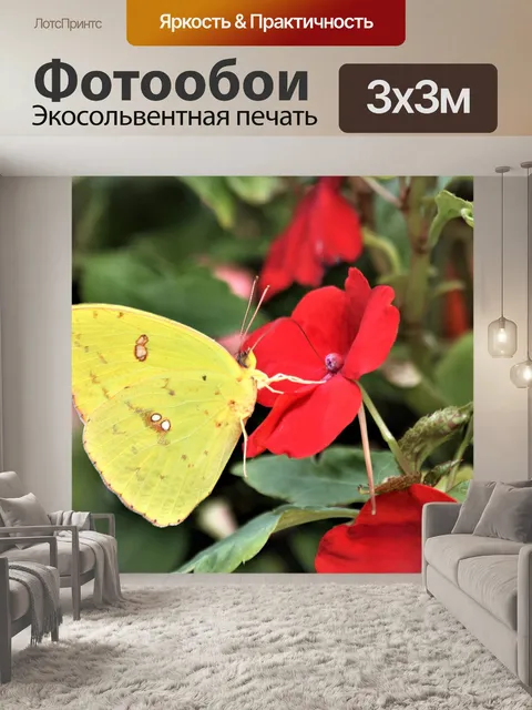 Фотообои Замаскированная серая бабочка крупным пл