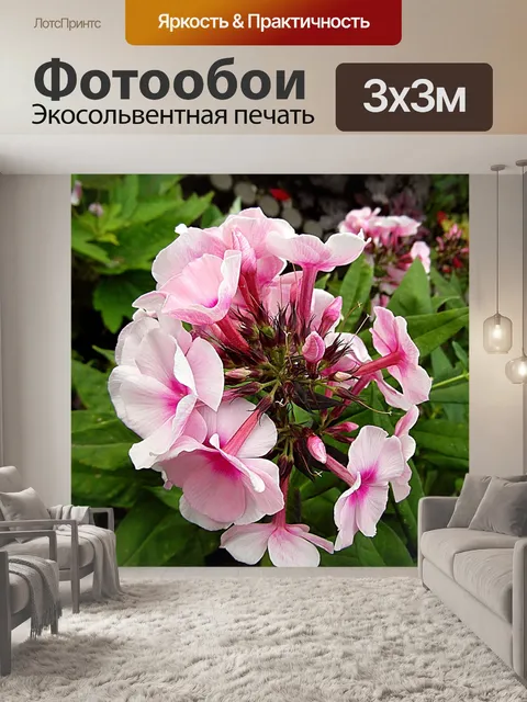 Фотообои Цветы