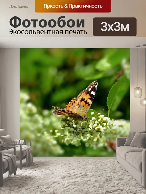 Фотообои Бабочки