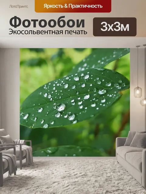 Фотообои Лист
