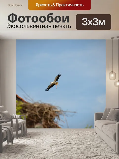 Фотообои Аист