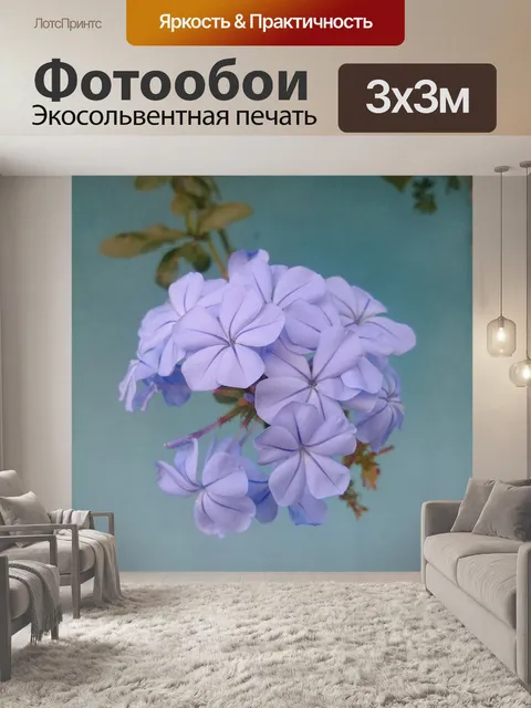 Фотообои Цветы