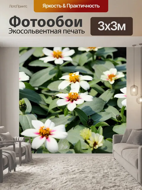 Фотообои Цветы