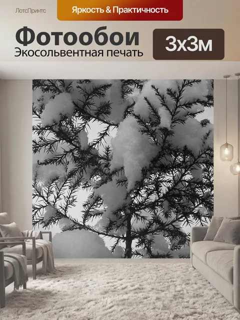 Фотообои Вечнозеленый