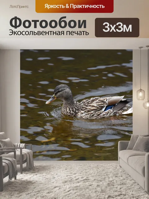 Фотообои Птицы