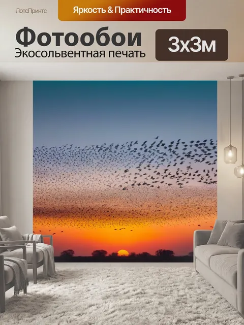 Фотообои закат и стая птиц