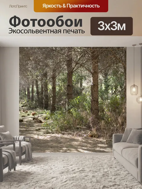 Фотообои Лес