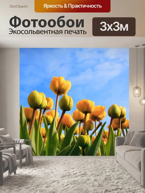 Фотообои желтые тюльпаны и небо