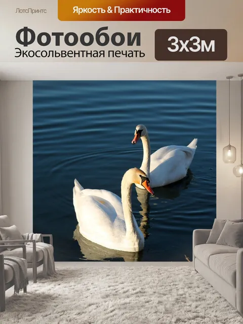 Фотообои Лебеди