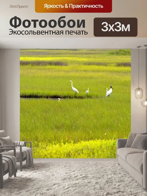 Фотообои Птицы в дикой природе
