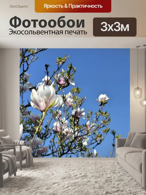 Фотообои Цветок магнолии