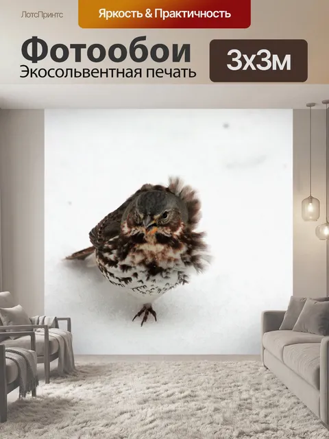 Фотообои Фокс-воробей в зимнем ветре