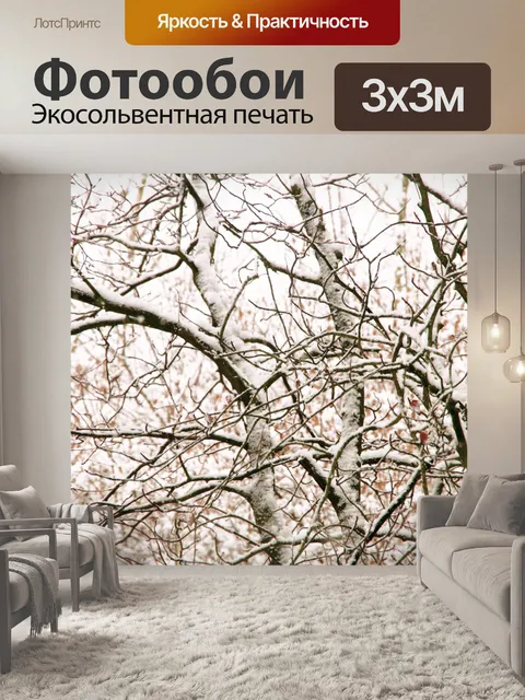 Фотообои Зимние ветки деревьев снег