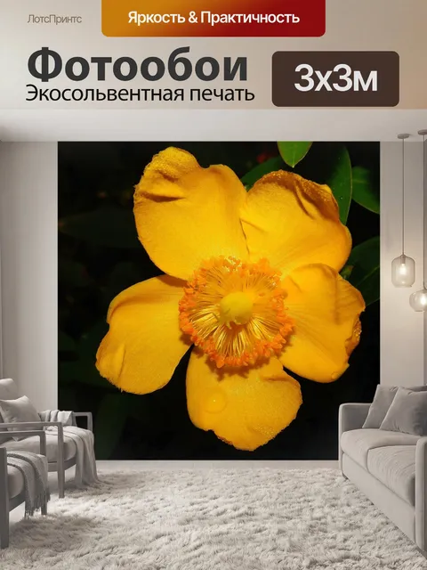 Фотообои Мак