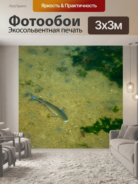 Фотообои Рыба в воде