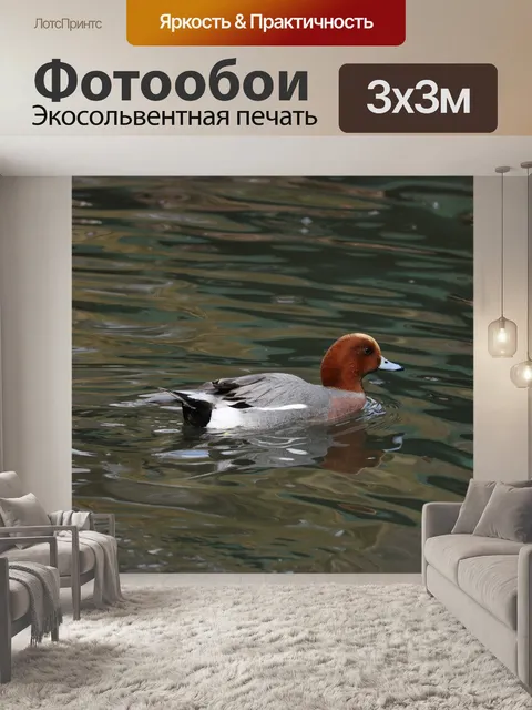 Фотообои Воды
