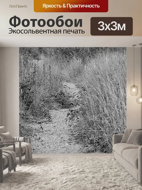 Фотообои Путь