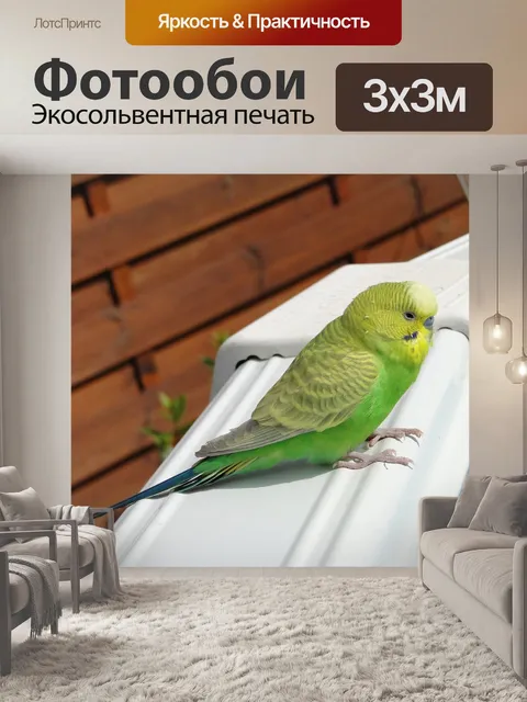 Фотообои Животные