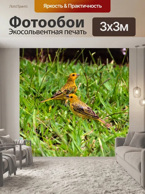 Фотообои Птицы