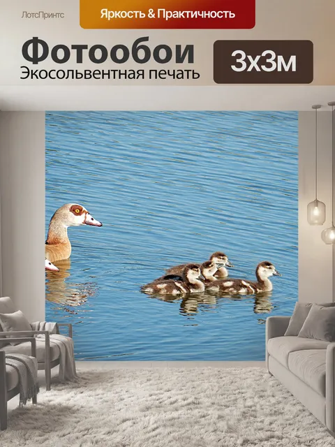 Фотообои Гуси