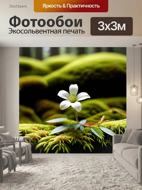 Фотообои элегантный маленький белый цветок, размещённый на мшистом фоне в лесу, соблазняет взгляд своей простотой