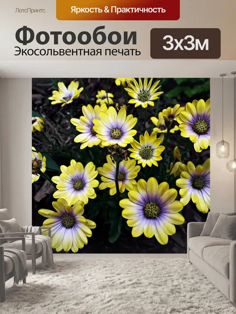 Фотообои Цветы