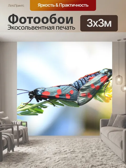 Фотообои Чернить