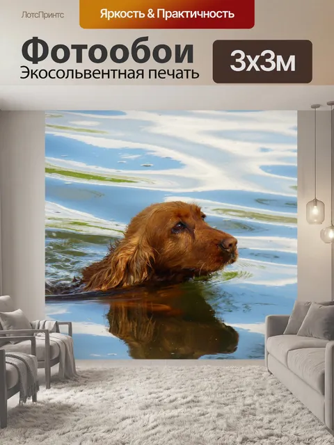 Фотообои Собака