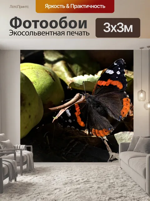 Фотообои Бабочка