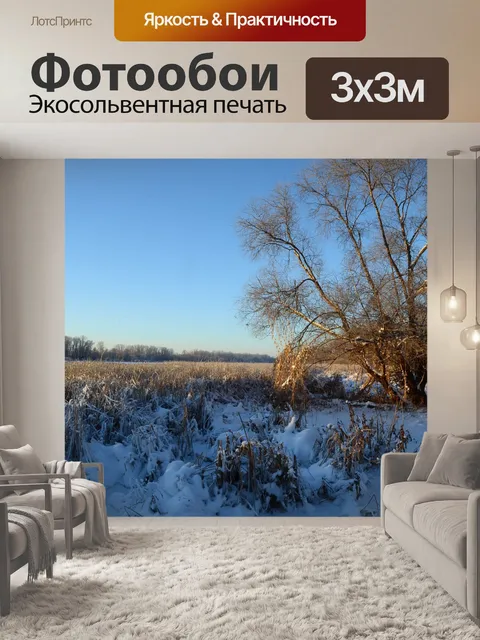 Фотообои Снег