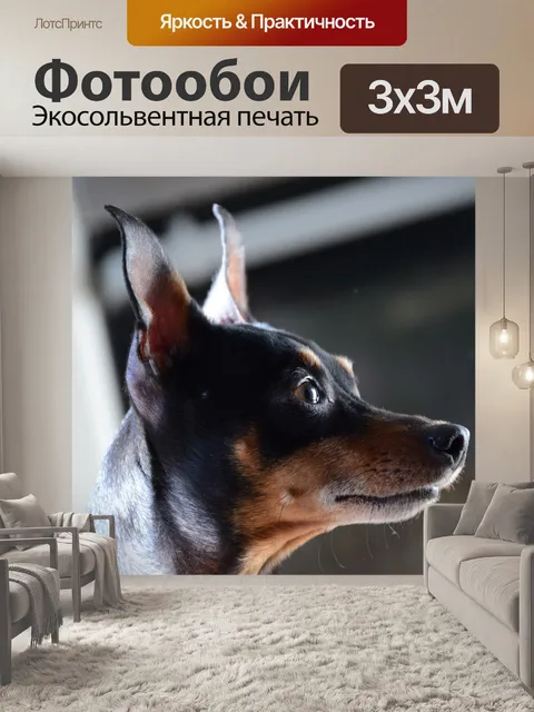 Фотообои Собака