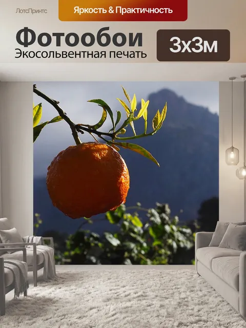 Фотообои Оранжевый