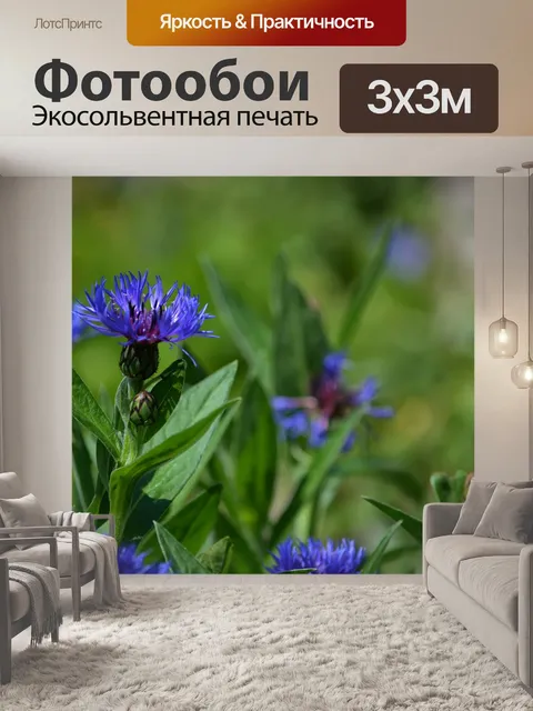 Фотообои Цветы