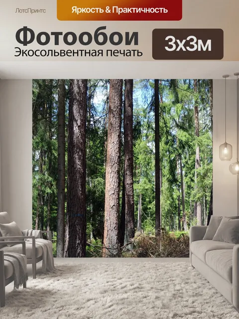 Фотообои Ели