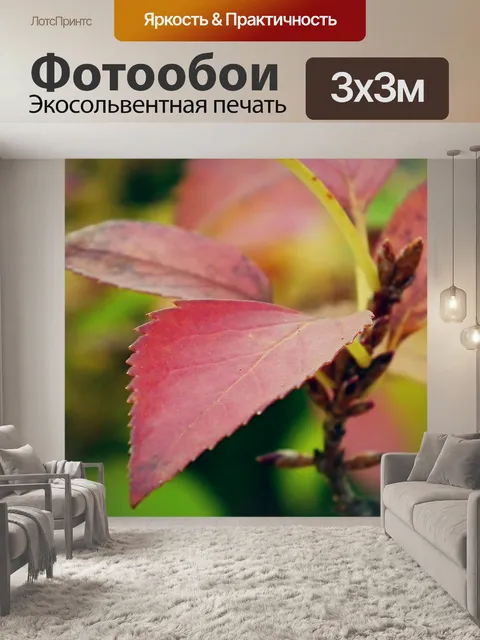 Фотообои Листья