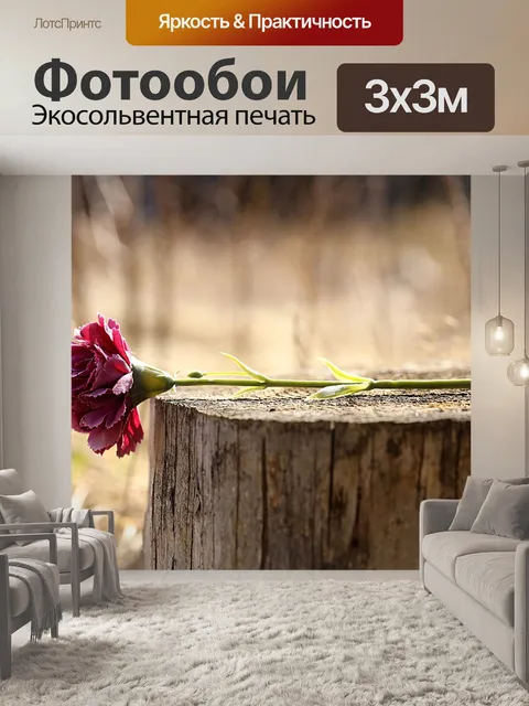 Фотообои Роза