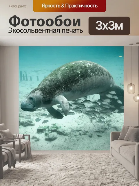 Фотообои Рыбы