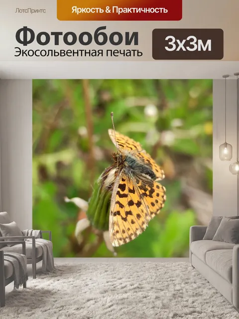 Фотообои Бабочка