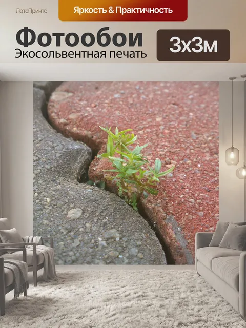Фотообои Жизнь