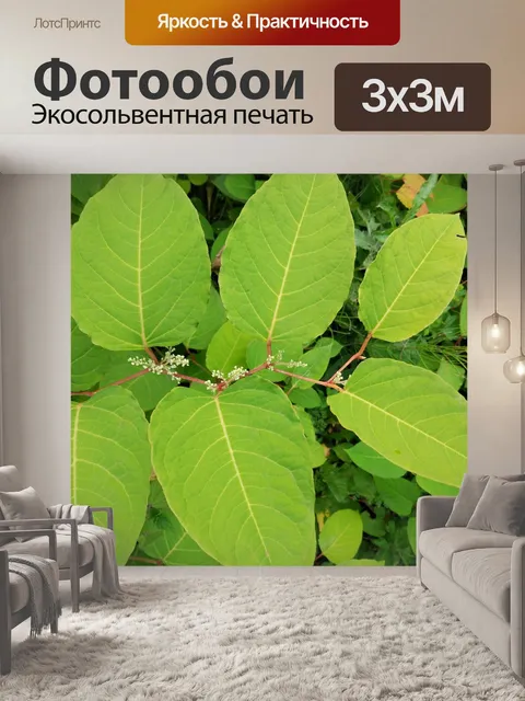 Фотообои Листья