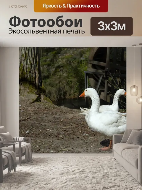 Фотообои Гуси