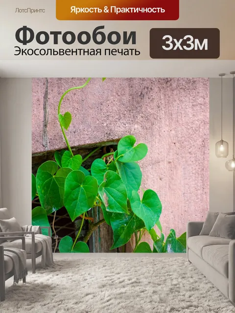 Фотообои Листья