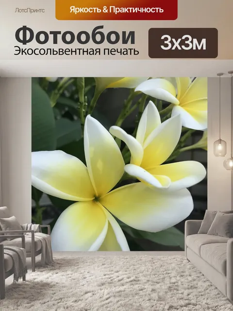 Фотообои Цветы