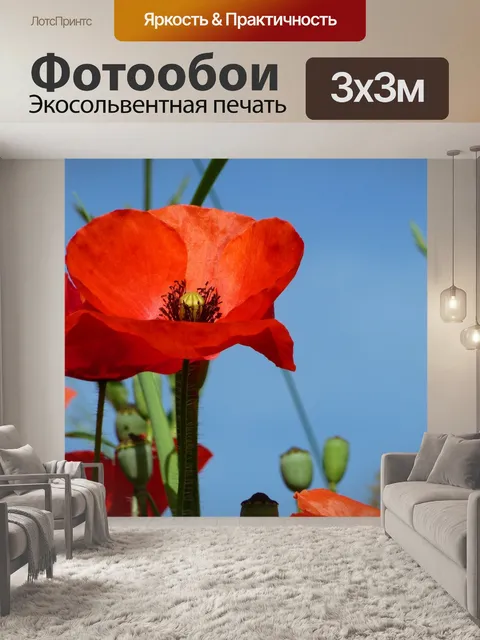 Фотообои Цветок