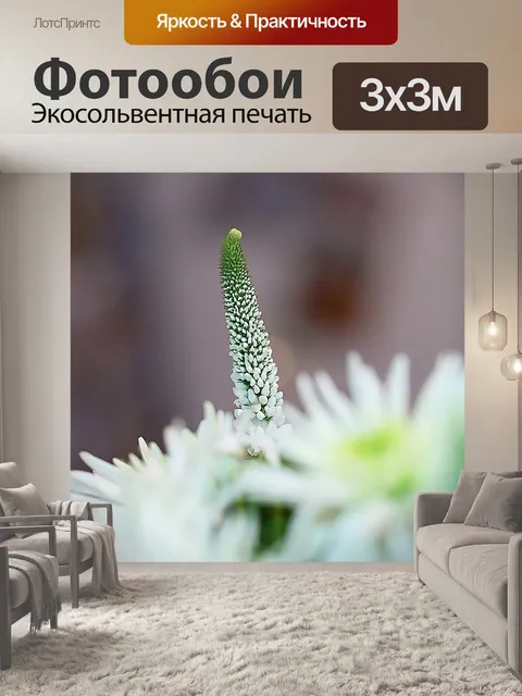 Фотообои Цветок