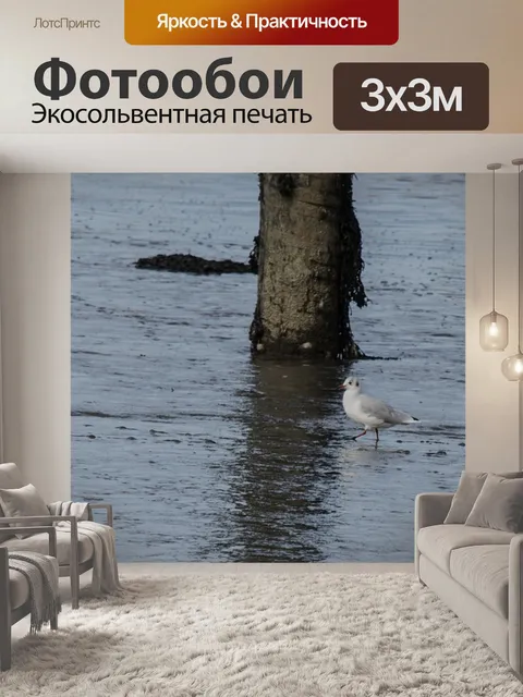 Фотообои Вода