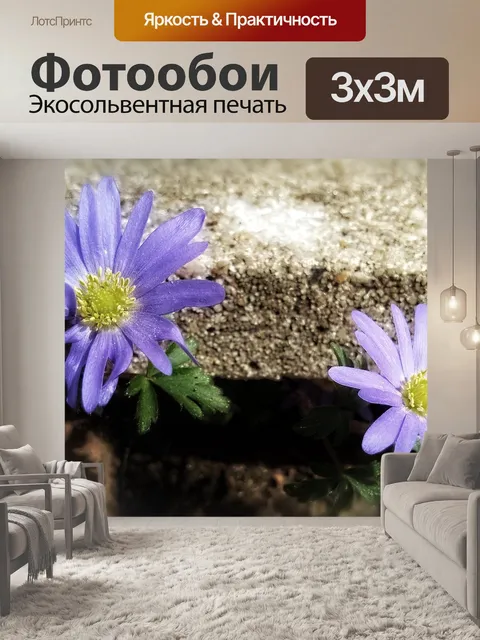 Фотообои Фиолетовый