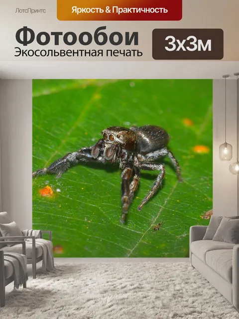 Фотообои Природа