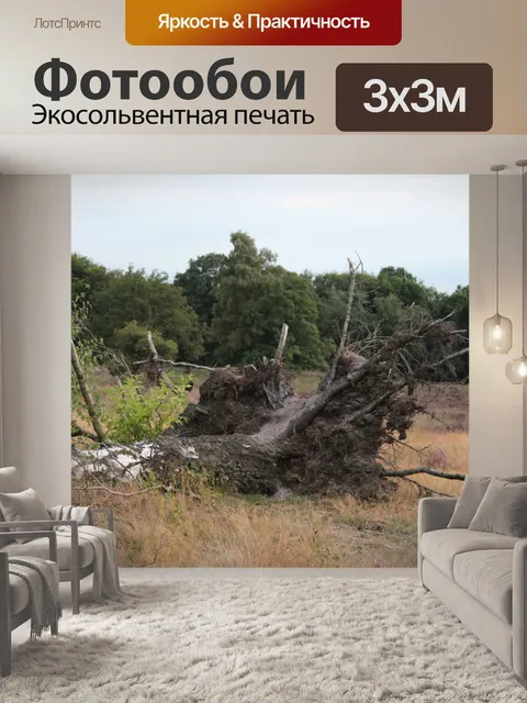 Фотообои Упавшее дерево